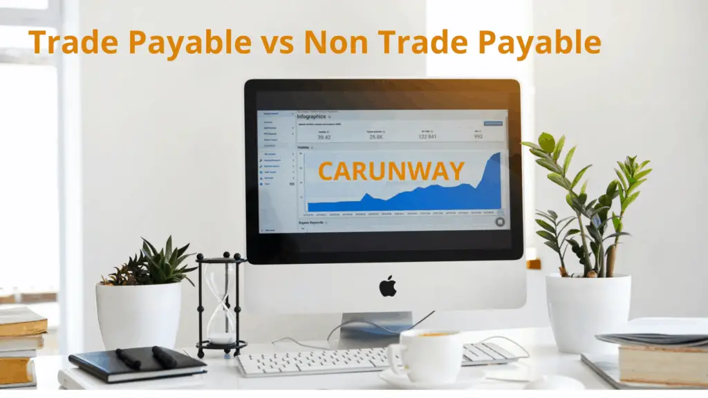 Trade payable vs non trade payable