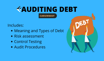 Auditing Debt or Loan auditing