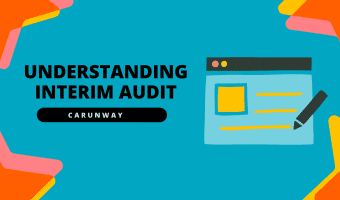 what is an interim audit