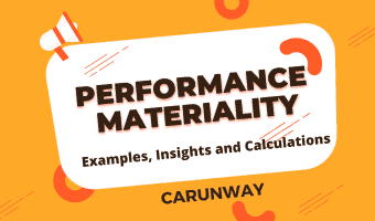 performance materiality definition