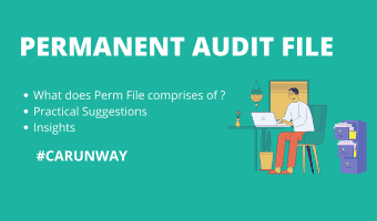 Permanent Audit File